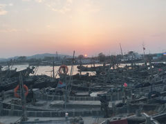 -日照海滨国家森林公园