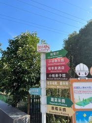 -前小桔亲子创意农场·草莓采摘·露营烧烤
