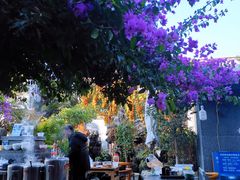 -海韵人家.海景花园经典云南菜(双廊店)