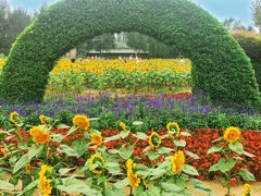 -长白岛森林公园