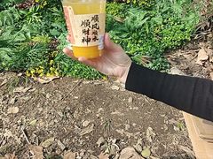 -灵顺寺