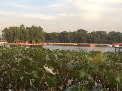 -小王府(什刹海店)