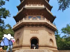 -灵谷景区