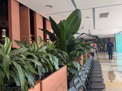 -长安记·大美陕菜(大族广场店)