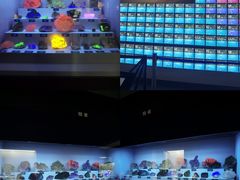 -湖南省地质博物馆