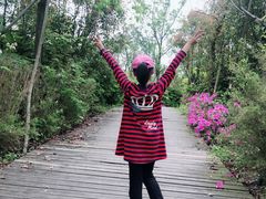 -吴淞炮台湾湿地森林公园烧烤区