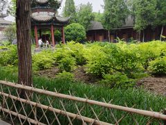 -洛阳白马寺
