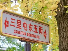 -三里屯东五街银杏大道