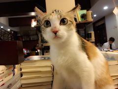 -看书吧(体育东横路店)