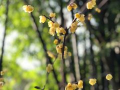 -成都杜甫草堂博物馆