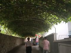 -大海别墅民宿农家院(十渡店)