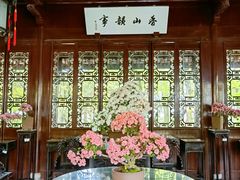 -上海醉白池公园