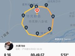 -特克斯八卦城