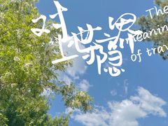 -北京西山国家森林公园