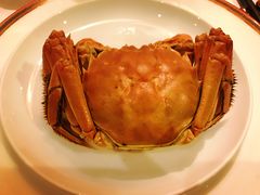 -苏浙总会(国金中心店)