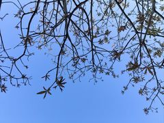 -深圳湾公园(南山区)
