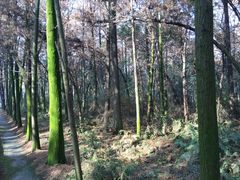 -同里国家湿地公园
