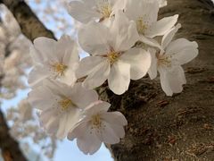 -永乐路-路侧停车场