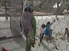 -新疆天山野生动物园