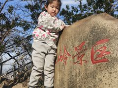 -紫金山山顶公园