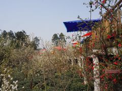 -樱桃山旅游景区