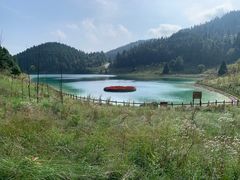 -武陵山森林公园