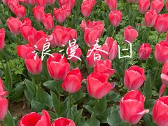-陕西省西安植物园