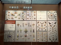 -天津自然博物馆