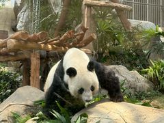 -香港海洋公园