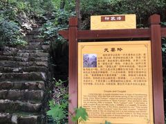 -老象峰