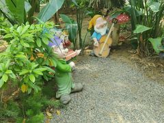 -石家庄市植物园