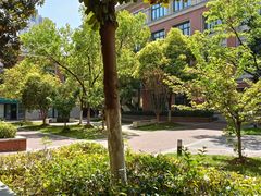 -合肥市南门小学(森林城校区)