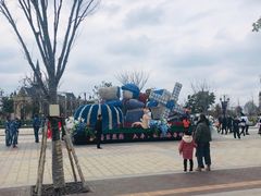 -荷兰花海