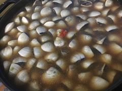 -顺德哥卜卜贝(旗舰店)