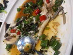 -陶缘一号·四季缘·老字号顺德菜·户外婚礼家宴(西滘店)