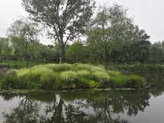 -东郊湿地公园