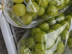 -马陆小张葡萄园农家乐