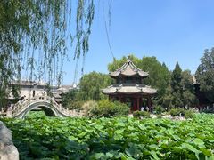 -莲池书院博物馆