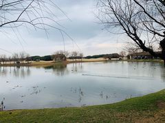 -滨海高尔夫俱乐部