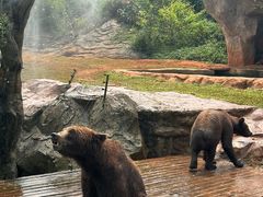 -海南热带野生动植物园