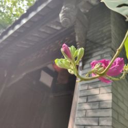 -莲生母婴月子中心(清水河公园店)