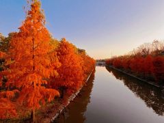 -上海海湾国家森林公园