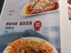 -直隶安家罩饼(复兴路店)