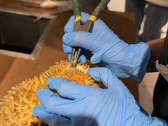 -永辉超市(郫都区爱琴海店)