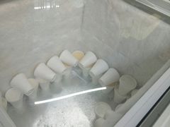 -洪馨椰子