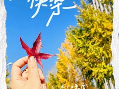 -西安外国语大学(长安校区)