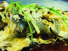 -福来齐·鲁菜海鲜·渔家菜(朝阳街分店)