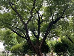 -兰溪青年公园