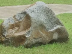 -盘龙城遗址博物院