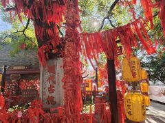 -杨家埠民间艺术大观园